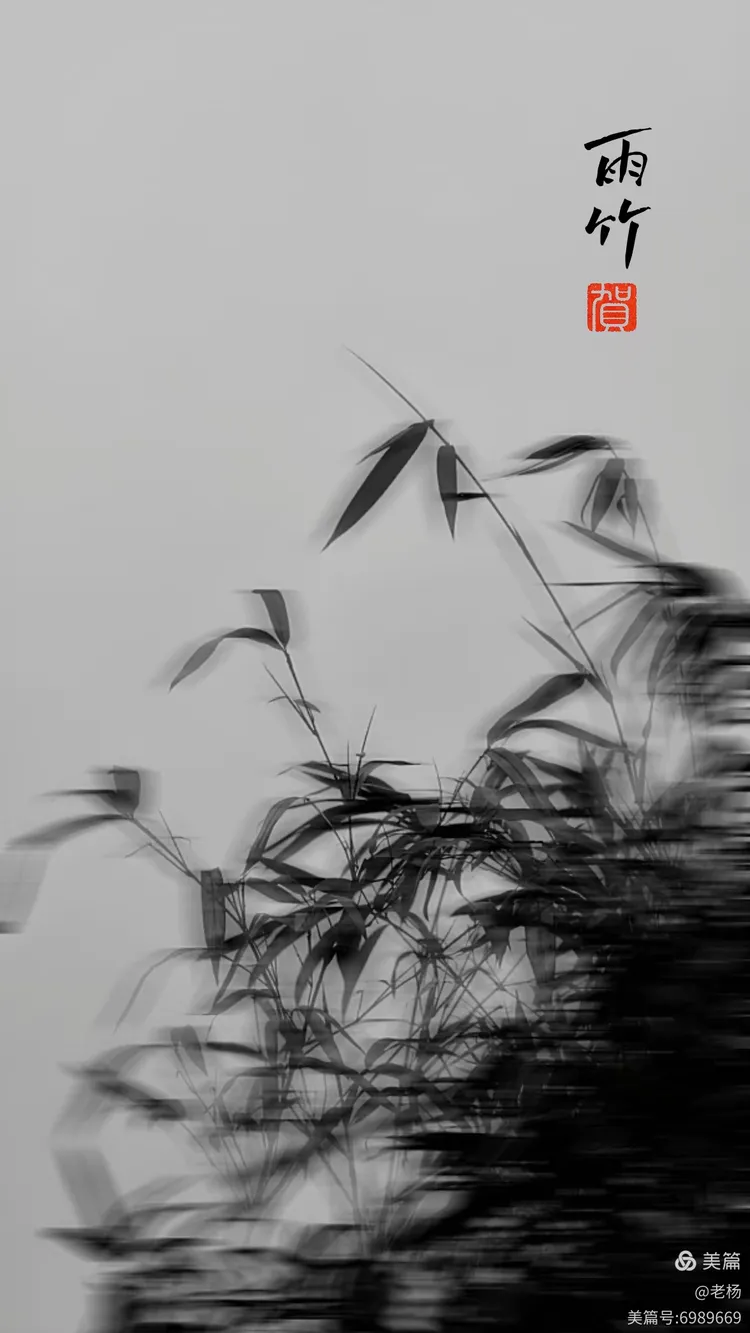 画意摄影《雨竹》